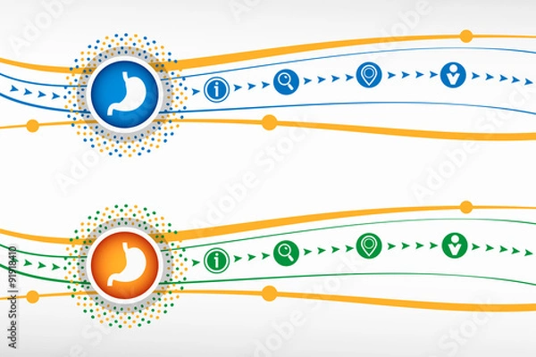 Obraz Stomach icon on background for banner, web, site, design, advert