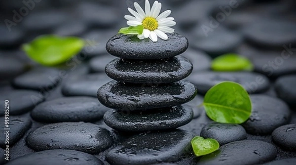 Fototapeta daisy with heap of pebble stones and green leaves, spa and wellness concept
