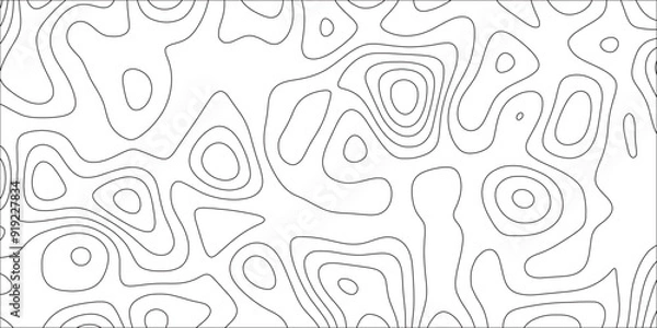 Fototapeta Topographic map background with geographic line map. Modern design with White topographic wavy pattern. Concept of a conditional geography scheme. White wave paper curved reliefs.	
