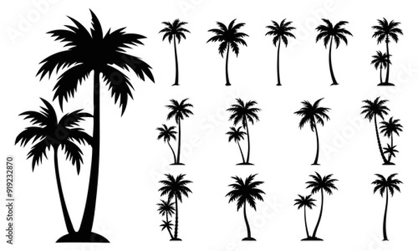 Fototapeta Set of palm trees silhouette