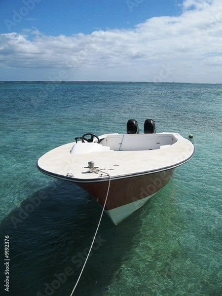 Fototapeta Mauricio Bote de Buceo