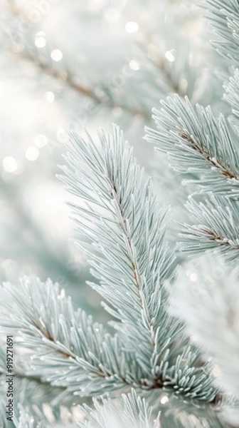 Fototapeta Frost covers the pine branches, glistening in the gentle morning sun, while a peaceful winter atmosphere envelops the surrounding landscape