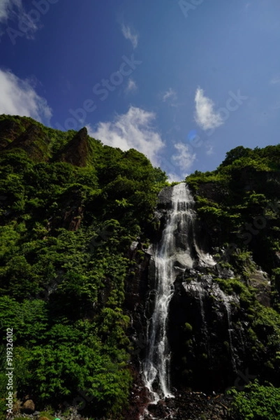 Fototapeta 白銀の滝