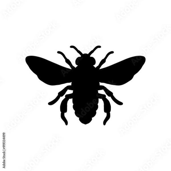 Obraz Bee Silhouette Vector Illustration White Background.