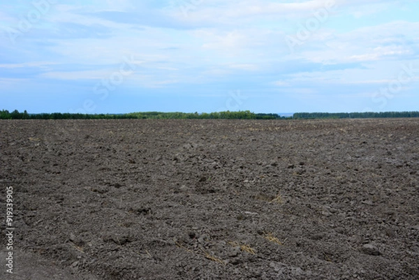 Fototapeta an empty plowed field with a blue sky on the background 