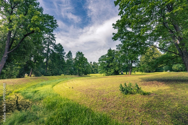 Fototapeta A lush green field with trees in the background