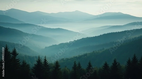 Fototapeta The Carpathian mountains stretch out into the distance, partially obscured by haze, creating a tranquil and serene view of nature.