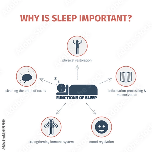 Obraz Sleep infographic. Mind map
