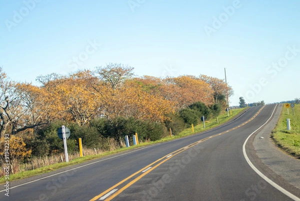 Fototapeta Curva en la ruta
