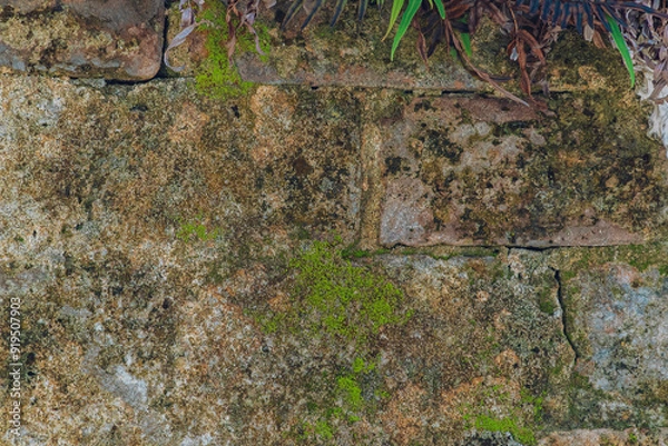 Obraz Aged Abstract texture