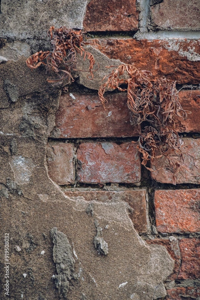 Obraz Aged Abstract texture