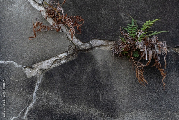 Obraz Aged Abstract texture