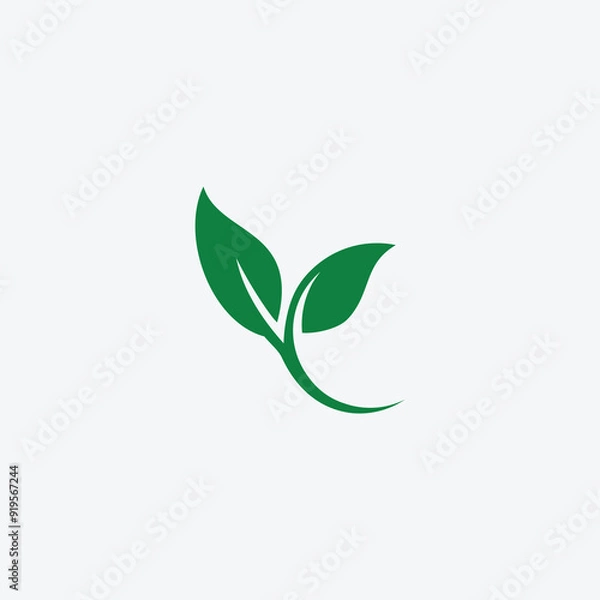 Fototapeta Green leaf ecology nature element vector icon or green leaf vector logo design 