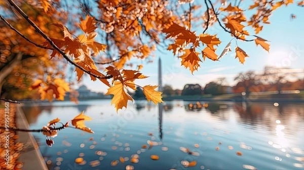 Fototapeta The vibrant fall foliage of cherry trees surrounding the Tidal Basin in Washington, D.C., with the Washington Monument standing tall in the background on a crisp autumn day.