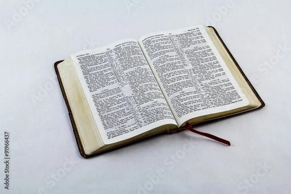 Obraz Open Bible on White Background
