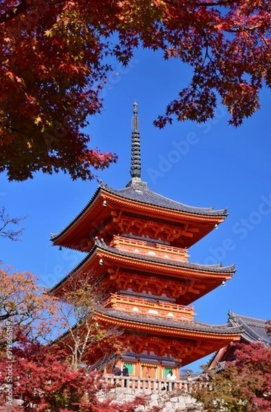 Fototapeta 京都の秋　紅葉の清水寺