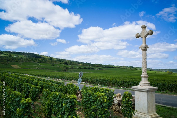 Obraz Stone cross marker in vineyard