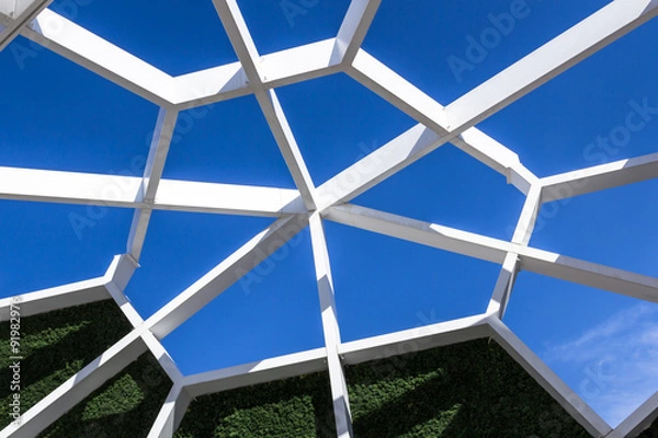 Obraz Vertical garden