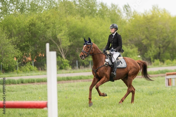 Fototapeta Young woman preparing for equestrian competition. 