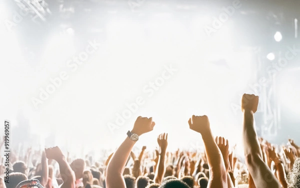 Fototapeta Crowd Cheering at a Concert