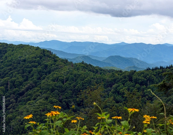 Obraz Smoky Mountains landscape with wildflowers