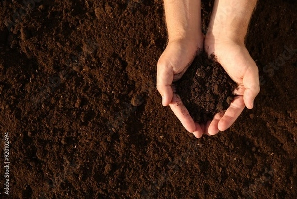 Fototapeta Man holding pile of soil outdoors, top view. Space for text