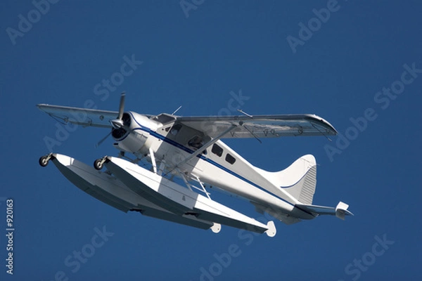 Obraz seaplane