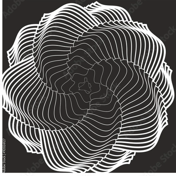 Obraz Genuine spinning monochrome rosette 5