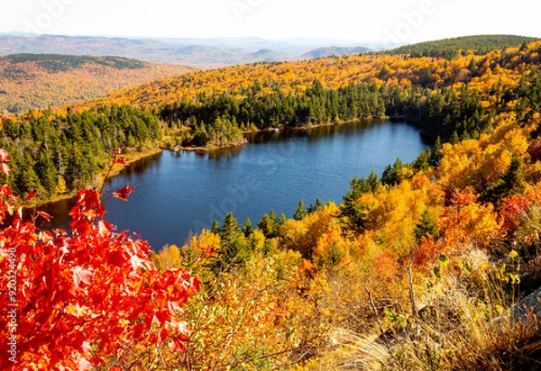 Fototapeta Fall foliage colors surrounding Lake Solitude in Newbury, New Hampshire.