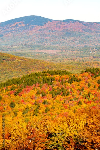 Fototapeta View of fall foliage from an overlook on Mount Sunapee.