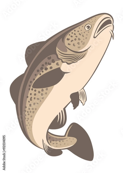 Obraz cod fish