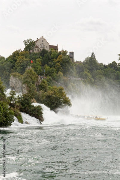 Obraz Chutes du Rhin