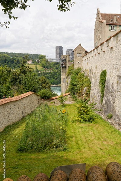 Obraz Chutes du Rhin