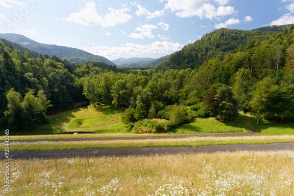 Obraz Fôret dans les vosges