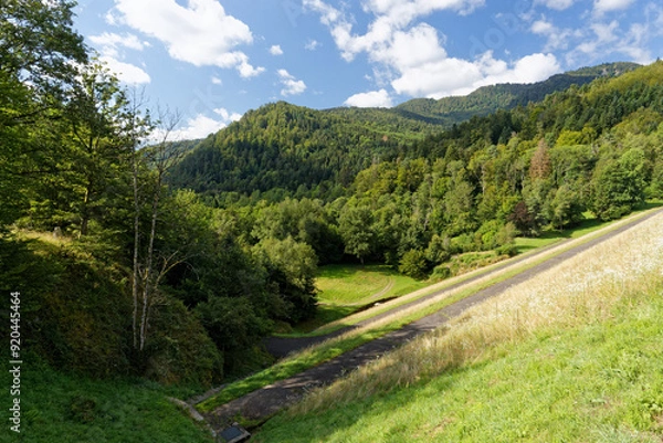 Obraz Fôret dans les vosges