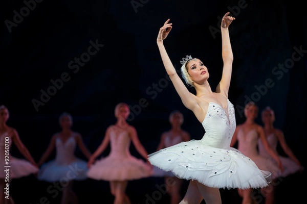 Fototapeta Prima Ballerina White Swan