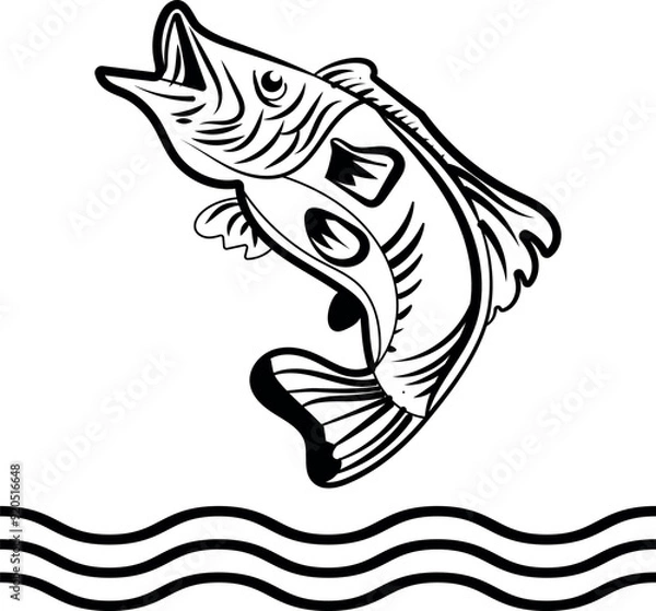 Obraz Fish collection silhouette vector trendy design
