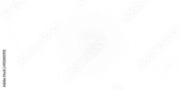 Fototapeta white halloween spiderweb isolated on white or transparent png