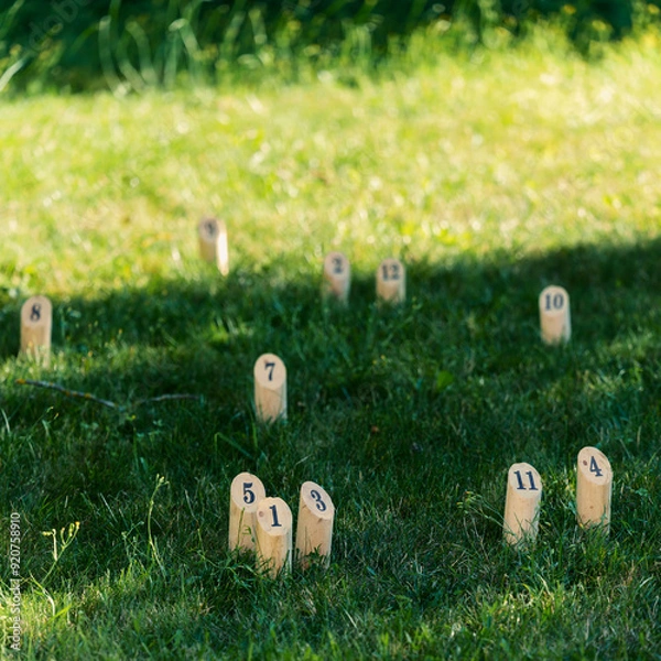 Obraz partie de molkky