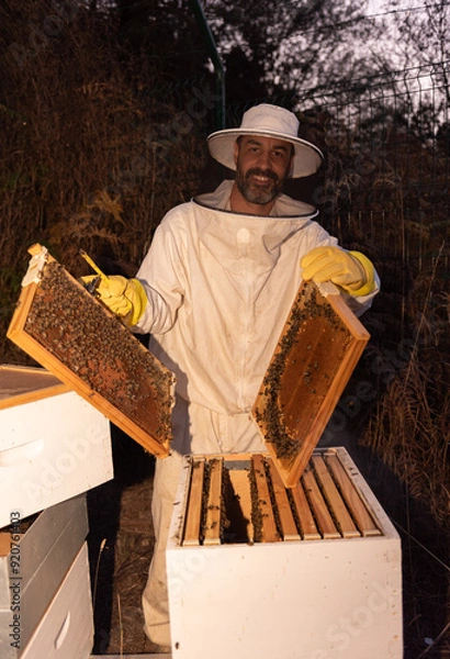 Fototapeta Beekeeper opening a hive frame on a bee farm