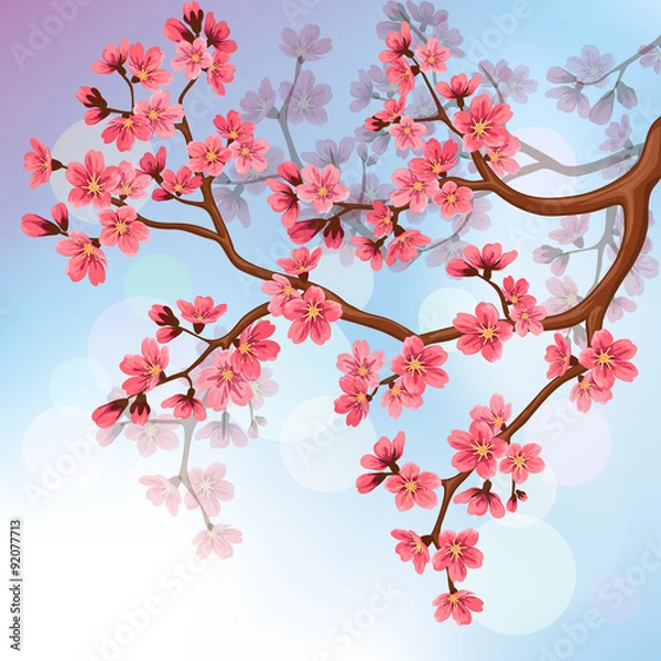 Fototapeta Background with sakura blossoms