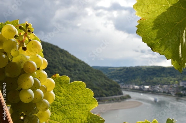 Obraz Romantic river rhine