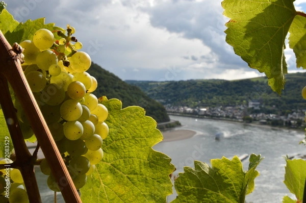 Obraz Romantic river rhine