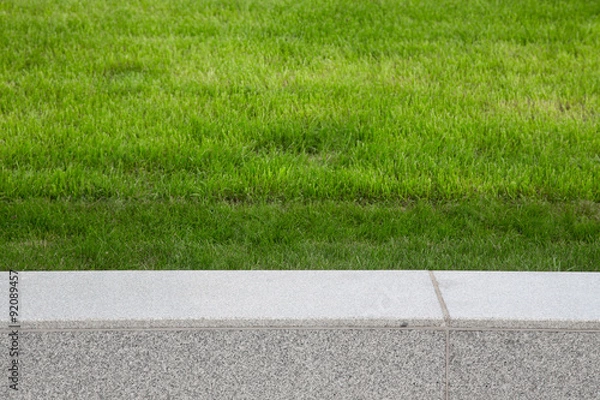 Obraz Green grass on the lawn. Selective focus. Shallow depth of field