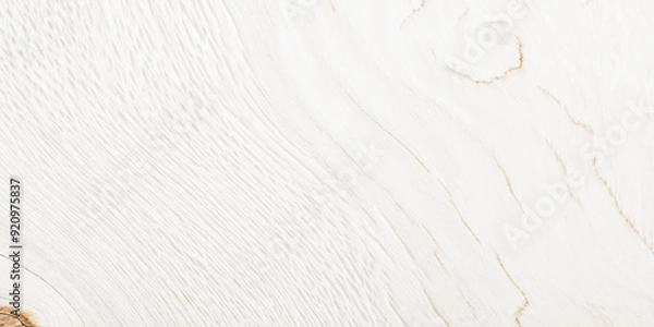 Fototapeta White wood pattern and texture for background. Close-up. white wood texture background, top view wooden. White wood texture background coming from natural tree. Wooden panel with beautiful patterns.	
