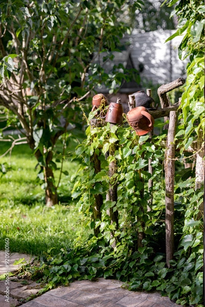 Fototapeta Homemade wooden fence made of tree branches, summer, creative ideas, brown clay mugs hanging on the fence, background of bushes.