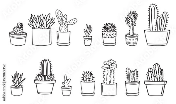Fototapeta cactus outline sketch hand drawn plants doodle flower pot simple isolated line style