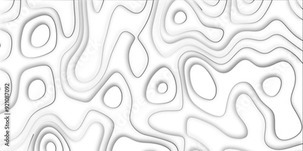 Fototapeta Abstract design with black and white abstract papercut and multi-layer cutout geometric pattern on vector Topographic canyon geometric map relief texture with curved layers beautiful design.