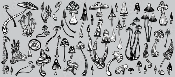 Obraz Set of Stylized Magic Mushrooms, black and white, 