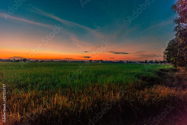 Fototapeta Nature Wallpaper (Mountains, Green Fields, Roadside Accommodation, Twilight Sky) The beauty of nature while traveling, with the wind blowing through the blurred leaves.